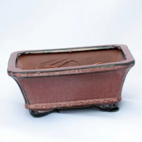 10″ Bonsai Pot (1006)
