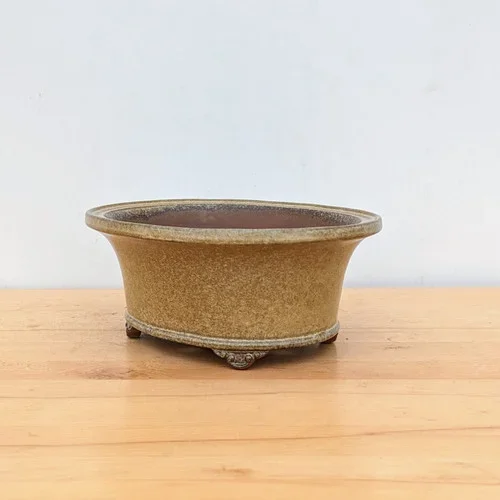 11-Inch Glazed Yixing Bonsai Pot (No. 2306g)