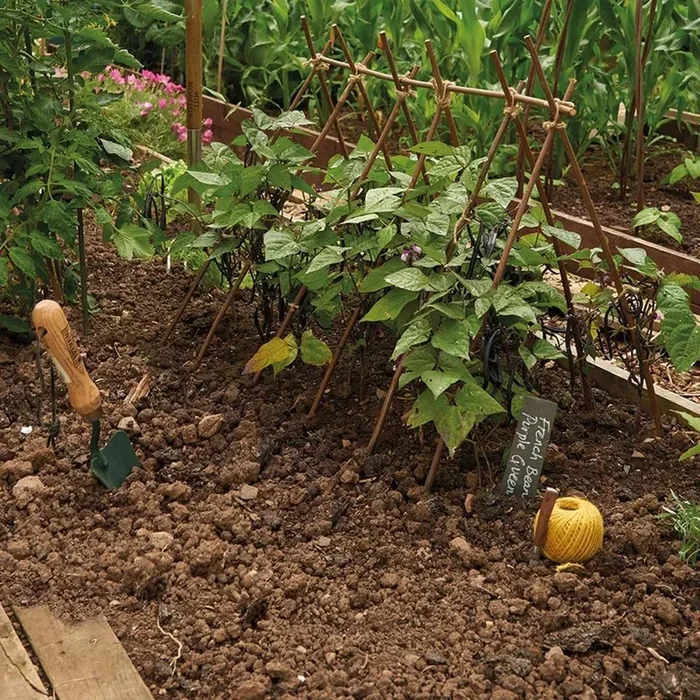 120cm Willow Pea Sticks