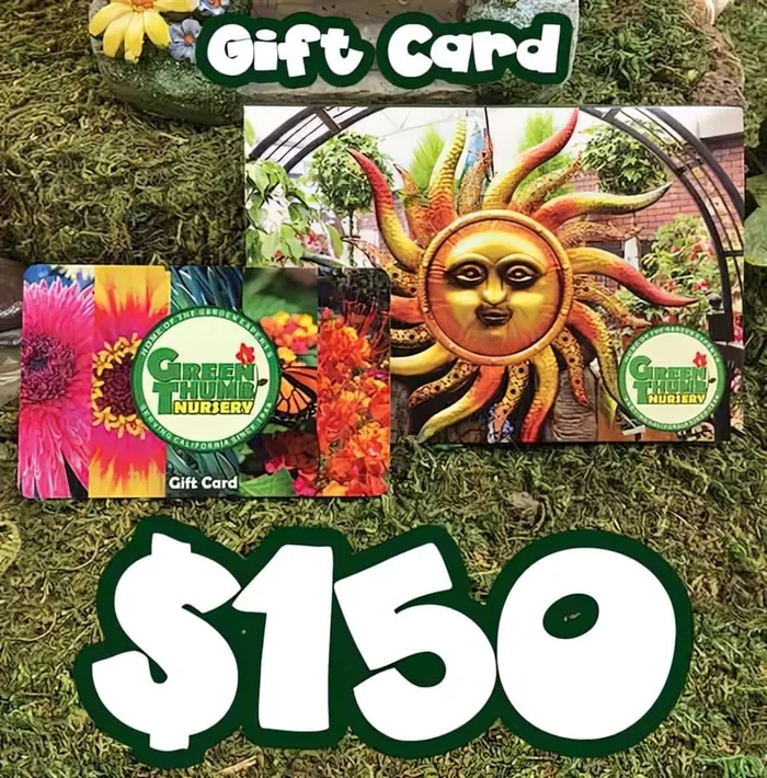$150 Gift Card (physical card mailed)