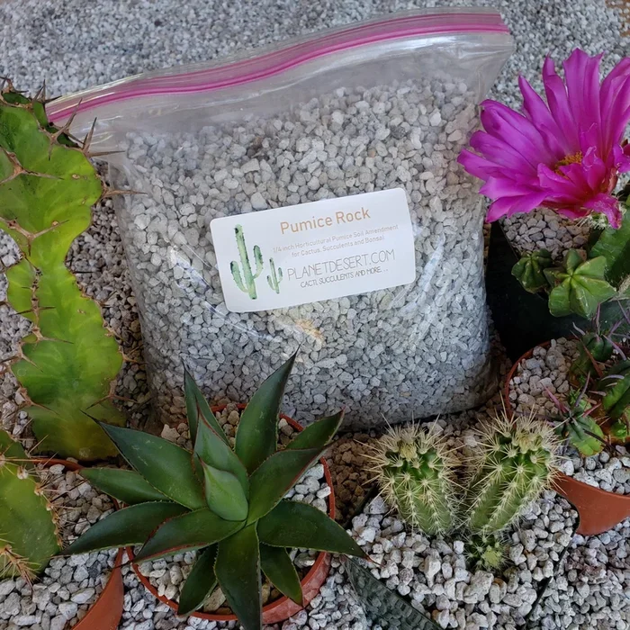 2 Quarts 1/4 Pumice Rock Horticultural Cactus Succulent Bonsai Amendment