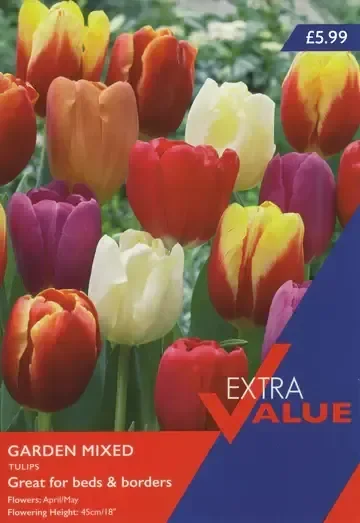 20 P/P X 12 TULIP GARDEN MIX 10-11