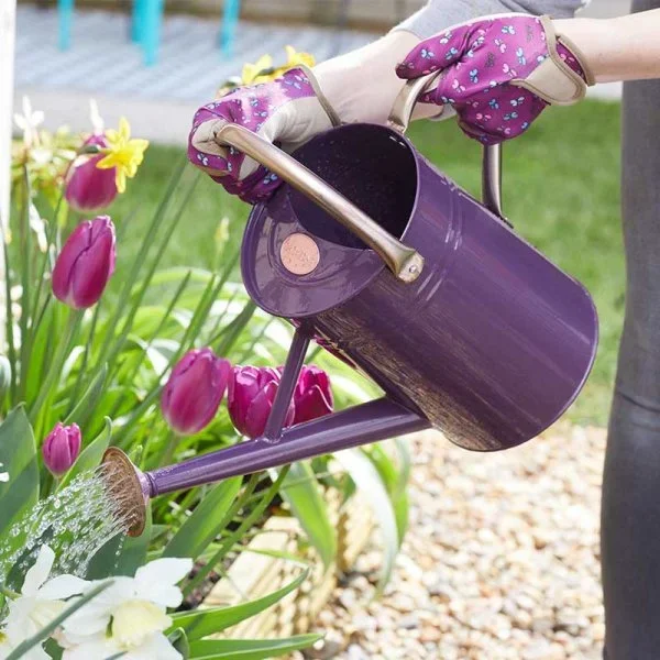 4.5L Luxury Metal Watering Can – Violet Purple