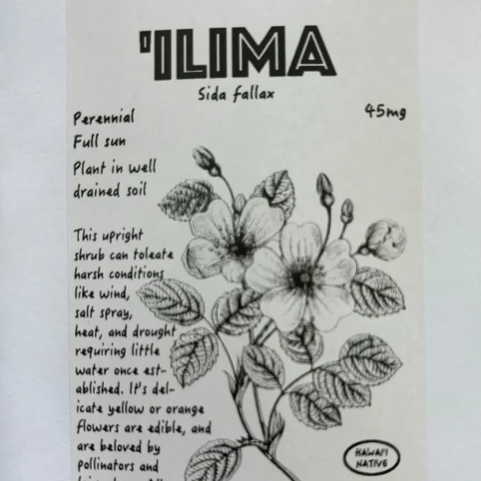 ‘Ilima, seeds
