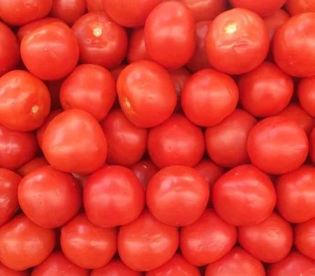 Abe Lincoln Tomato