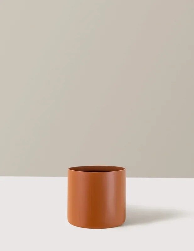 Agnes Planter