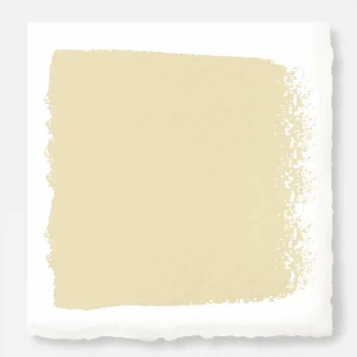 Ambient Light – Premium Interior Paint