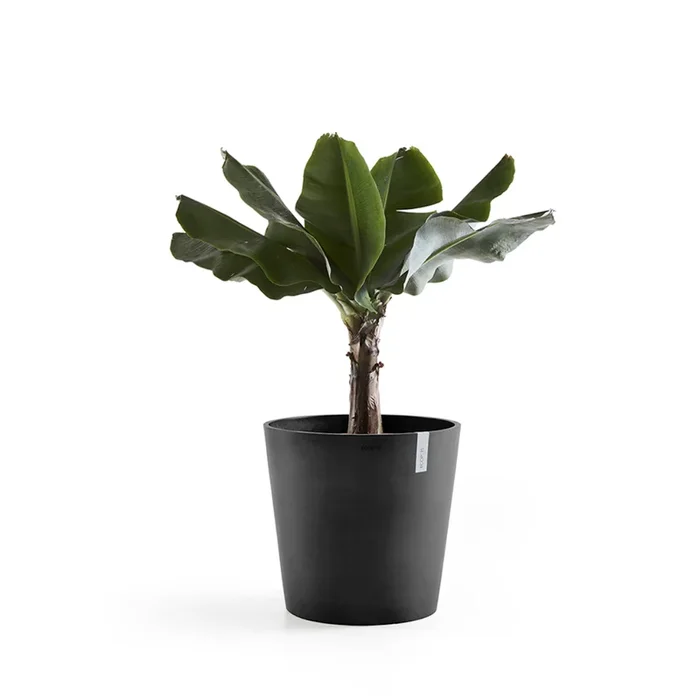 Amsterdam Pot 60cm/24in Black