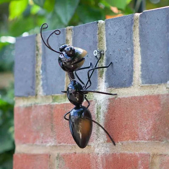 Ant Garden Wall Hanger