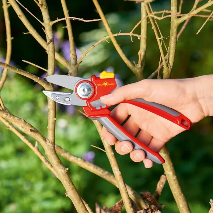 ANVIL METAL SECATEURS (5)