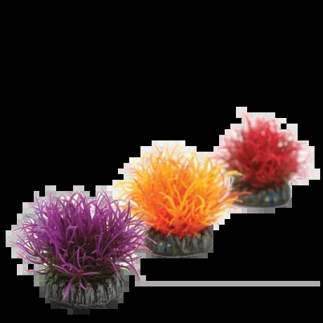 Aquatic Colour Balls Fluffy by biOrb