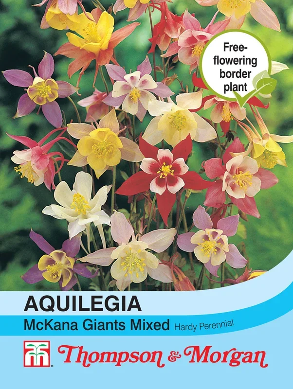 Aquilegia McKana Giant Hybrids Mixed – Pack of seeds