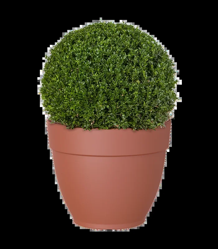 Artevasi Capri Campana Plastic Pot- 20cm / 3.5L