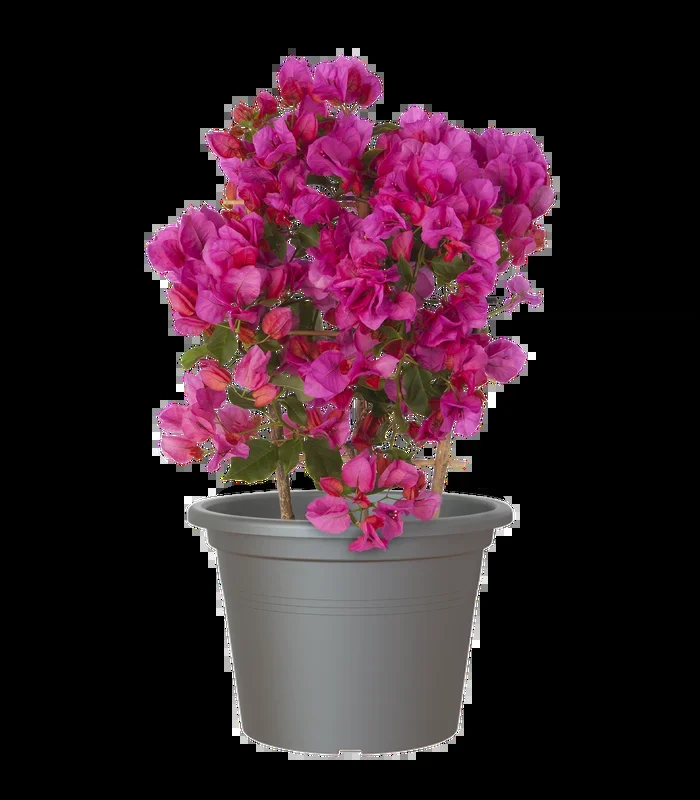 Artevasi Venezia Cilindro Plastic Plant Pot- 35cm / 13L