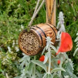Bee Barrel Bug Hotel