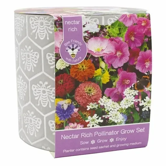 Bee Friends 17cm Patterned Ceramic Pot – Pollinator Mix (018383)