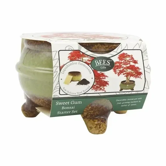 BEES Bonsai Bowl with Legs – Sweet Gum (120601)