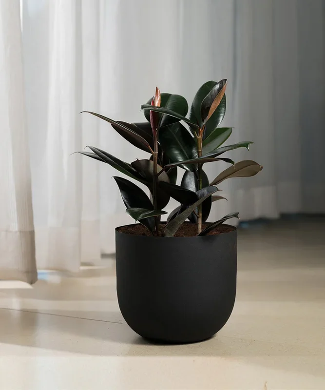 Black Rubber with Arbor Metal Planter Bonanza
