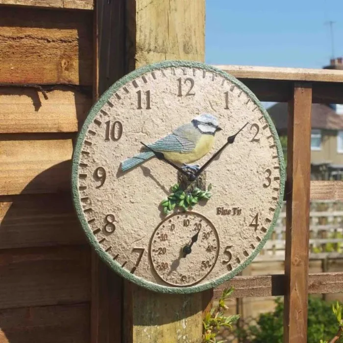 Blue Tit 12″