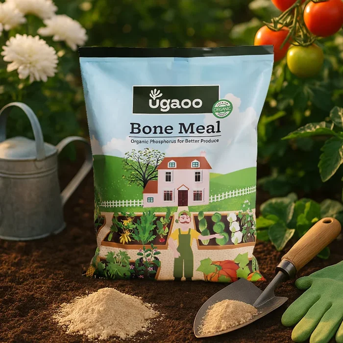 Bone Meal Fertilizer – 5 kg