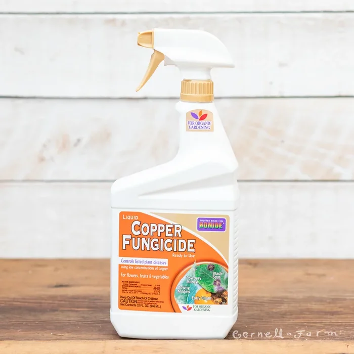 Bonide Fungicide Copper RTU Qt