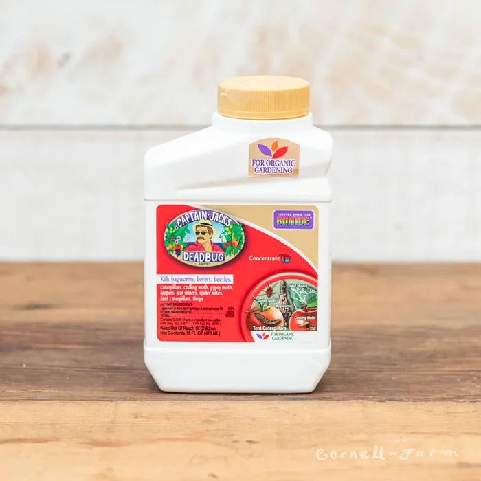 Bonide Insecticide CJ Deadbug Conc Pt