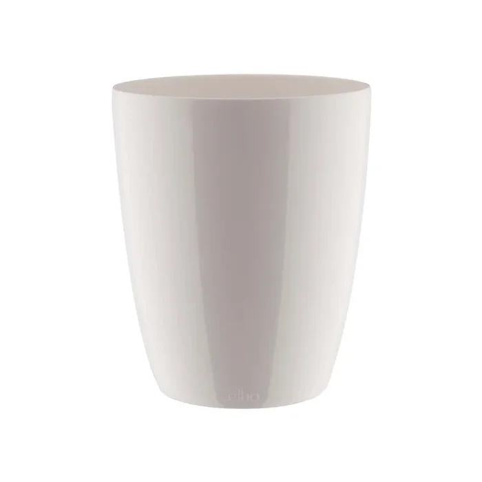 brussels diamond orchid high 12,5cm white