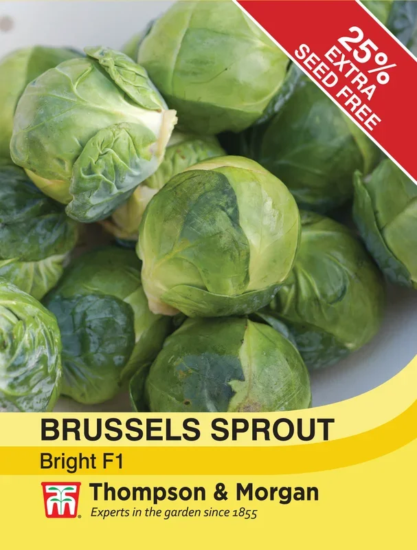 Brussels Sprout Bright F1 Hybrid- Pack of seeds