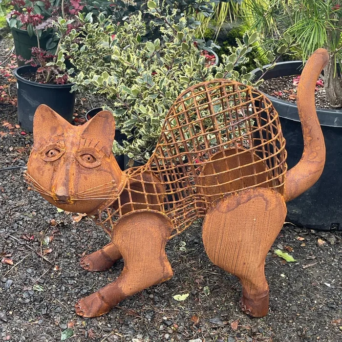 Cat Kurtzen