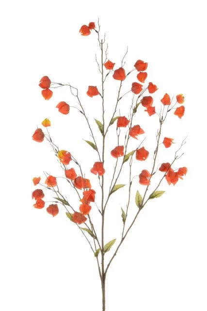 Chinese Lantern Spray – 120cm