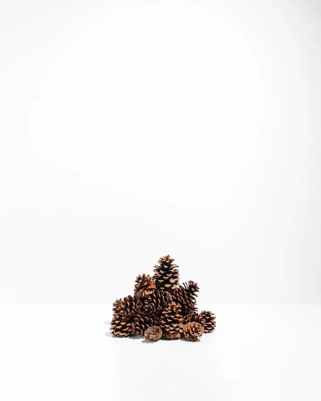 Cinnamon Scented Ponderosa Pinecones