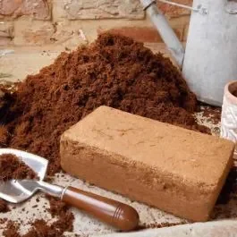 Coir Block for Wormery Bedding – 600 grams