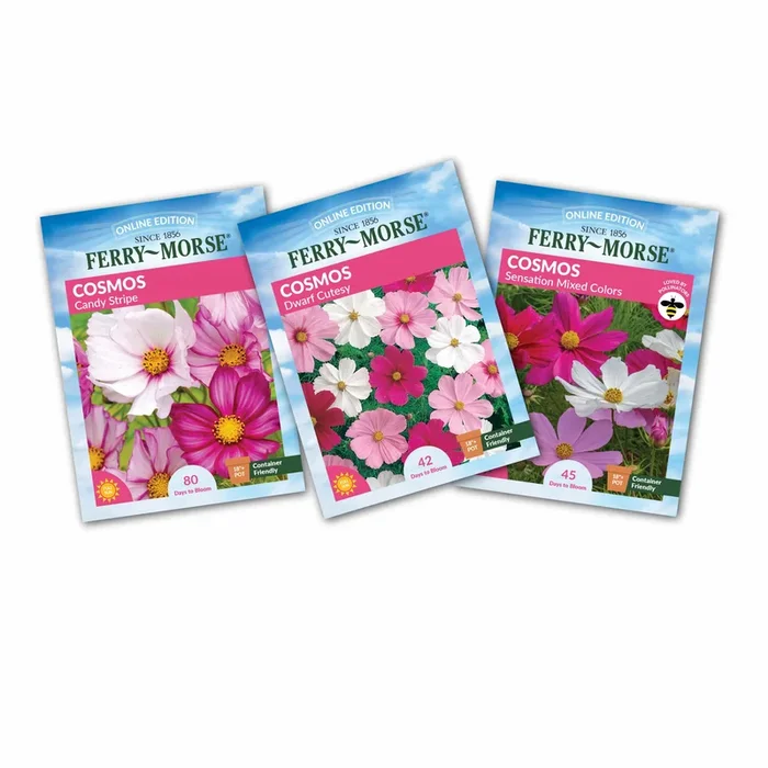 Cosmos Seed Variety Pack – 3 Pack