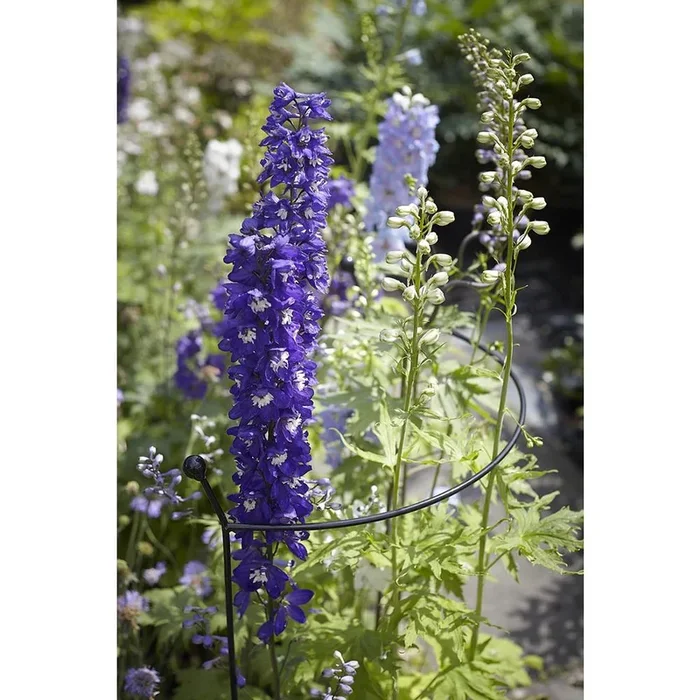 Cottage Garden Arc – Small