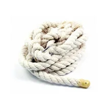 Cotton Cow Halter With Ring