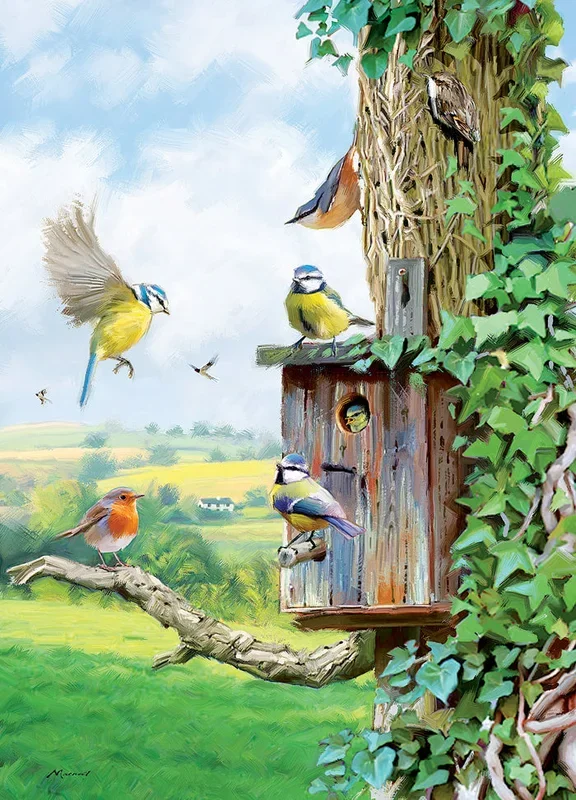 Country Cards Birds Nesting Box Card