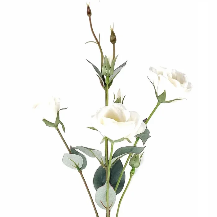Cream Eustoma Artificial Stem with Buds – 74cm