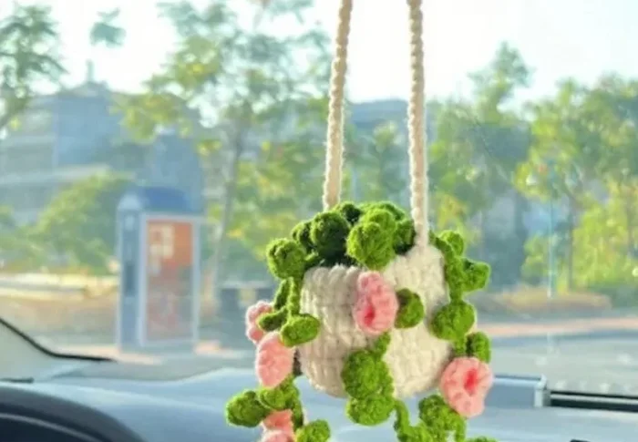 Crochet Plant