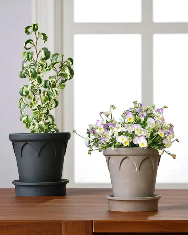 Crown Planter