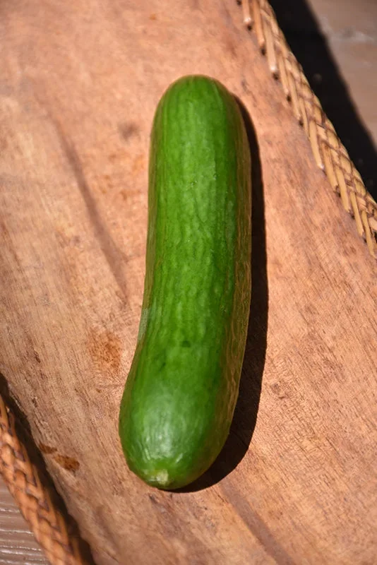 Cucumber Beit Alpha