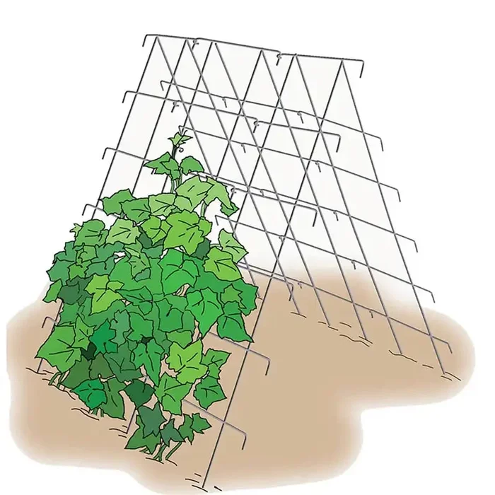 Cucumber Support – Vegetable Trellis