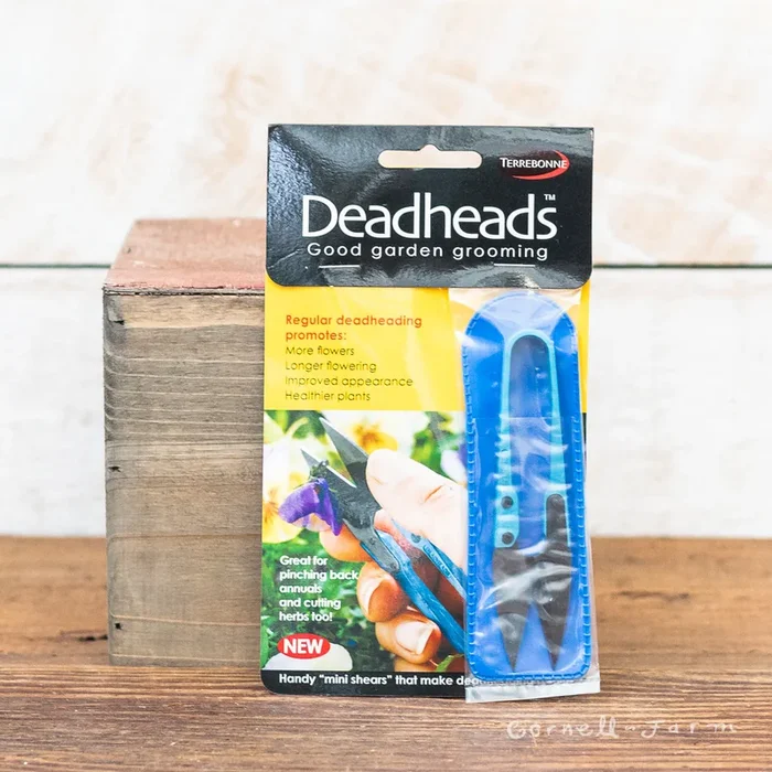 Deadheads Blue