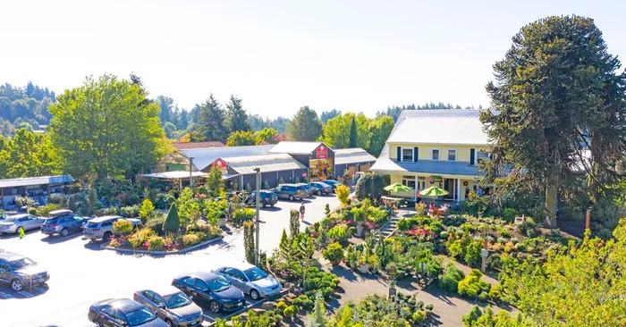 Dramm 7L Watering Can Yellow