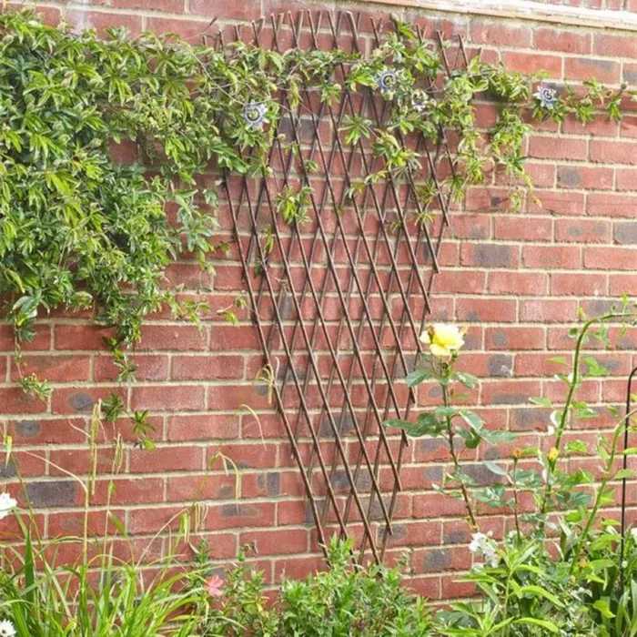 Expandinganding Fan Willow Trellis 1.8X0.9M