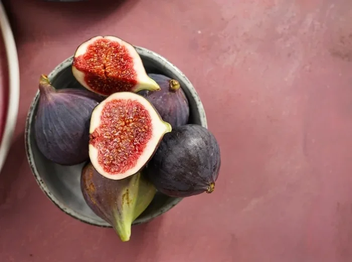 Ficus ‘Violette De Bordeaux’ Fig 8″ Pot