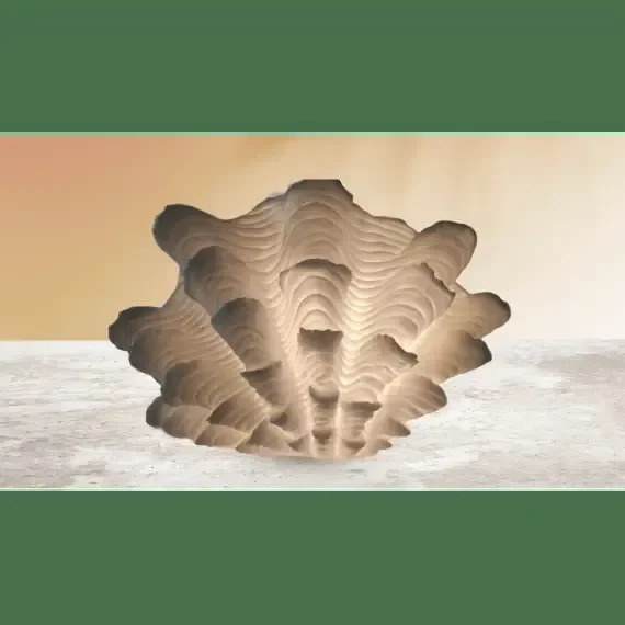 Fluted Clam Lamp