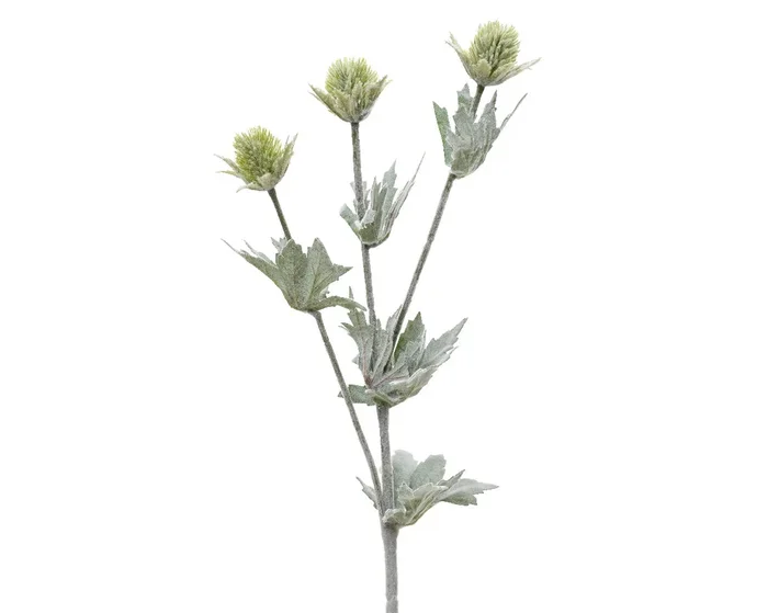 Frosted Eryngium on Stem Spray Decoration – 67cm