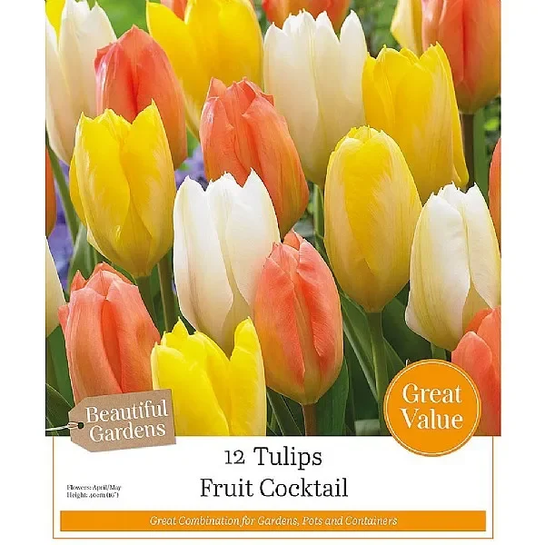 Fruit Cocktail Tulip Collection (12 Bulbs)