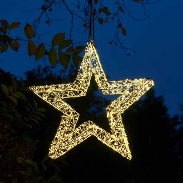 Galaxy Star with 2400 Warm White LED Lights, Low Voltage