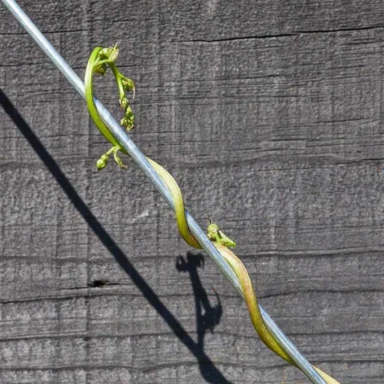 Galvanised Heavy Duty Garden Wire – 3.0mm x 25m